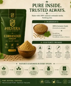 Hilvera Coriander Powder ingredients and purity infographic detailing the production process from seed selection to hygienic packaging.