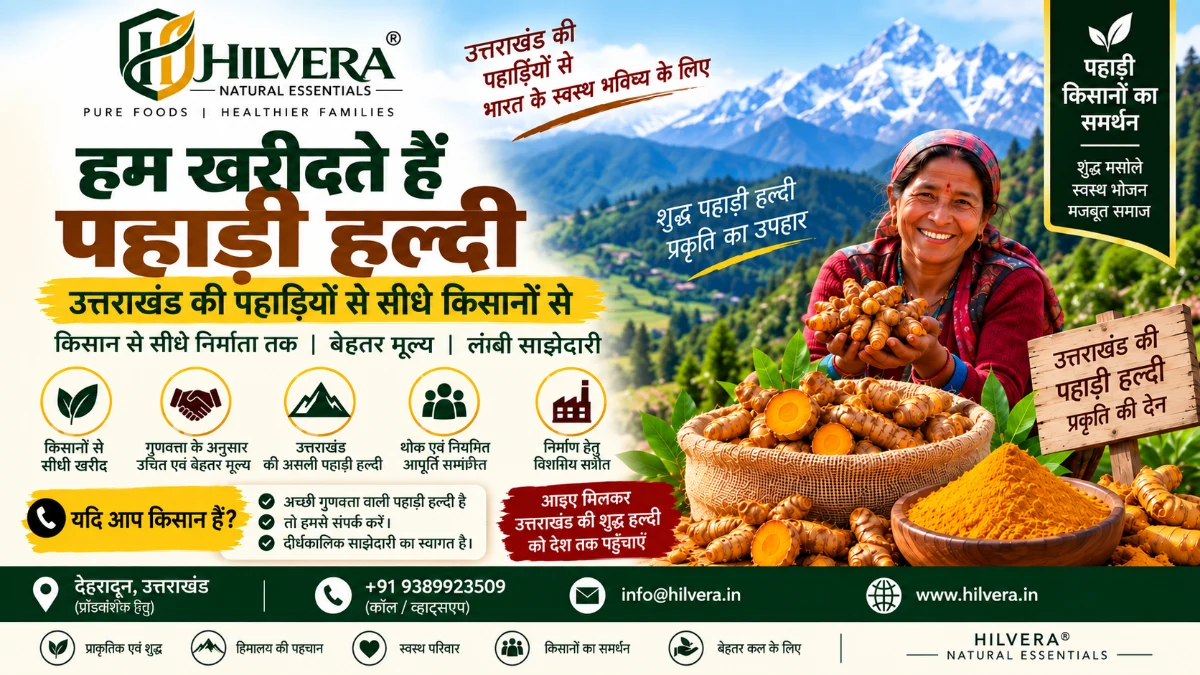 उत्तराखंड की पहाड़ी महिला किसान हाथ में कच्ची हल्दी लिए हुए साथ में शुद्ध पिसी हल्दी पाउडर और हिमालय - हिलवेरा देहरादून